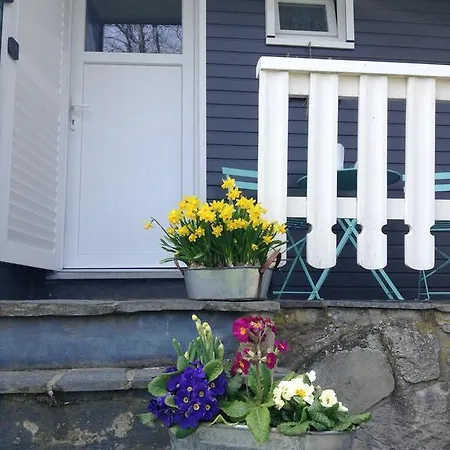 Le De Marguerite Alpehytte *