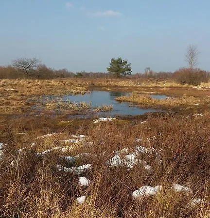Alpehytte Le De Marguerite