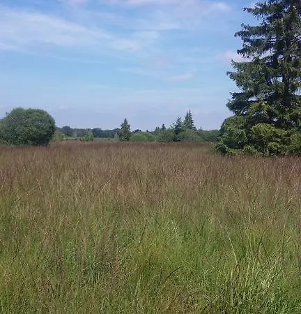 Alpehytte Le De Marguerite