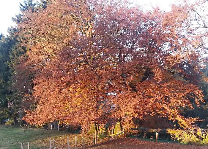 Chalet Le De Marguerite Francorchamps